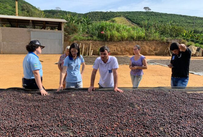 Laboratório de Análise Física e Sensorial de Café em Bom Jesus, vai dar mais qualidade ao produto