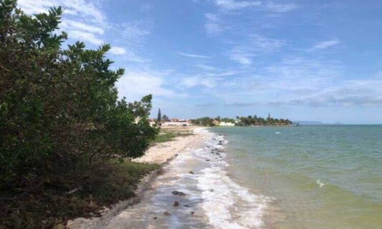 Nove praias do estado recebem certificação internacional de qualidade