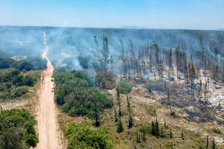Incêndio atinge parque natural em Arraial do Cabo