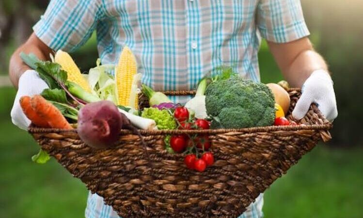 IFF Campos Centro vai adquirir mais de R$ 400 mil em alimentos da agricultura familiar