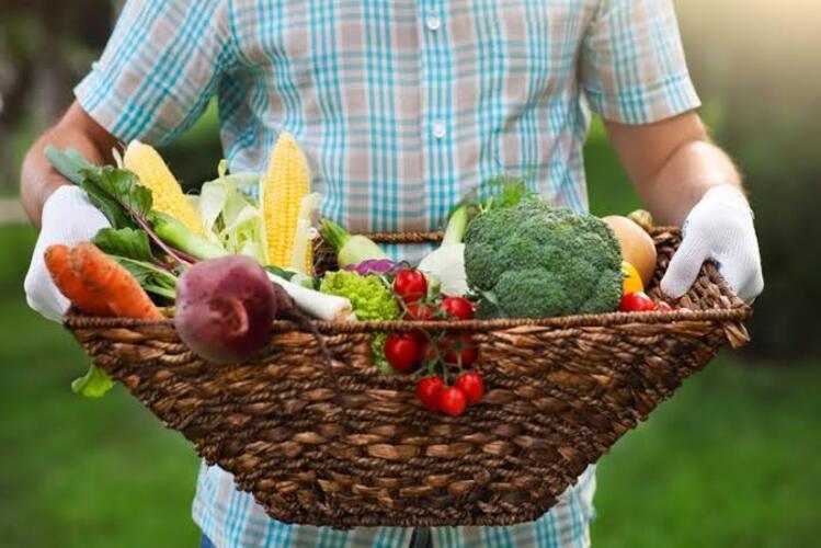 IFF Campos Centro vai adquirir mais de R$ 400 mil em alimentos da agricultura familiar