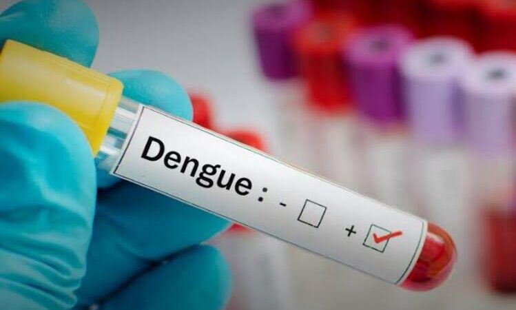 Vacina contra a dengue é incorporada ao SUS pelo Ministério da Saúde