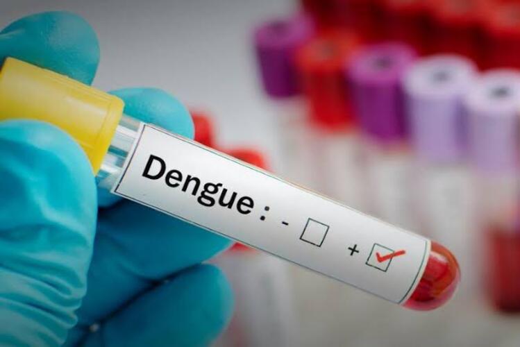 Vacina contra a dengue é incorporada ao SUS pelo Ministério da Saúde