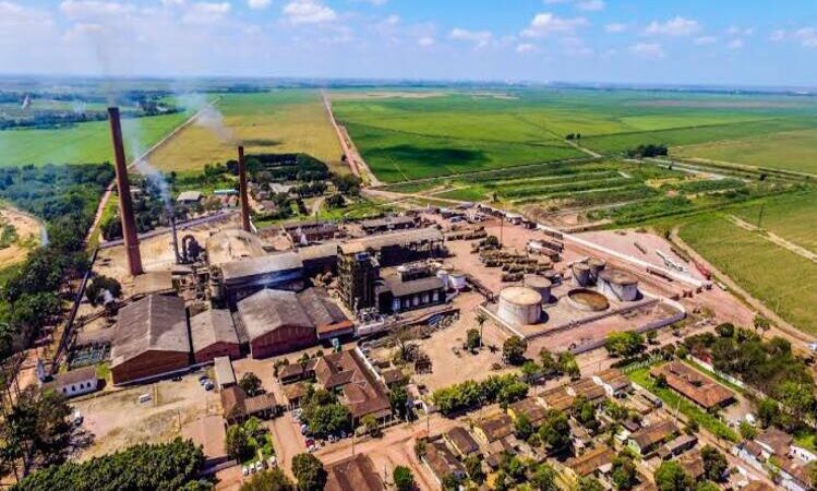 TJ proíbe Sem Terra de invadir terras arrendadas pela Coagro