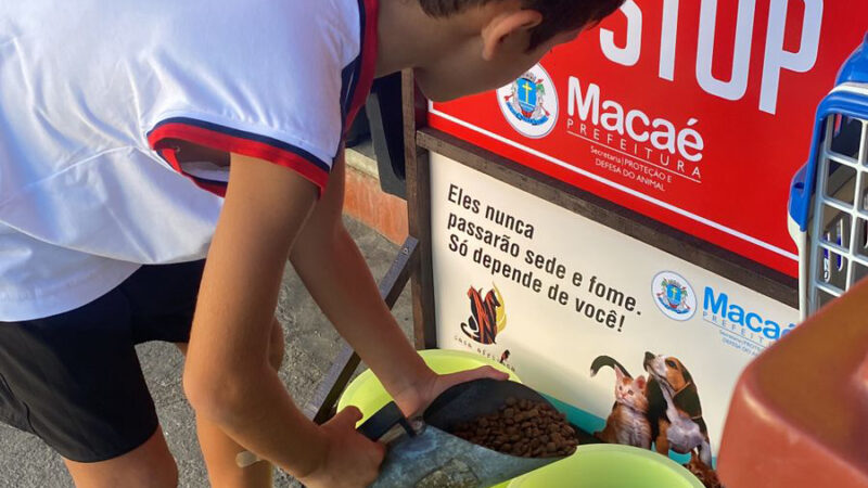 Macaé desenvolve projeto para garantir água e ração a cães de rua