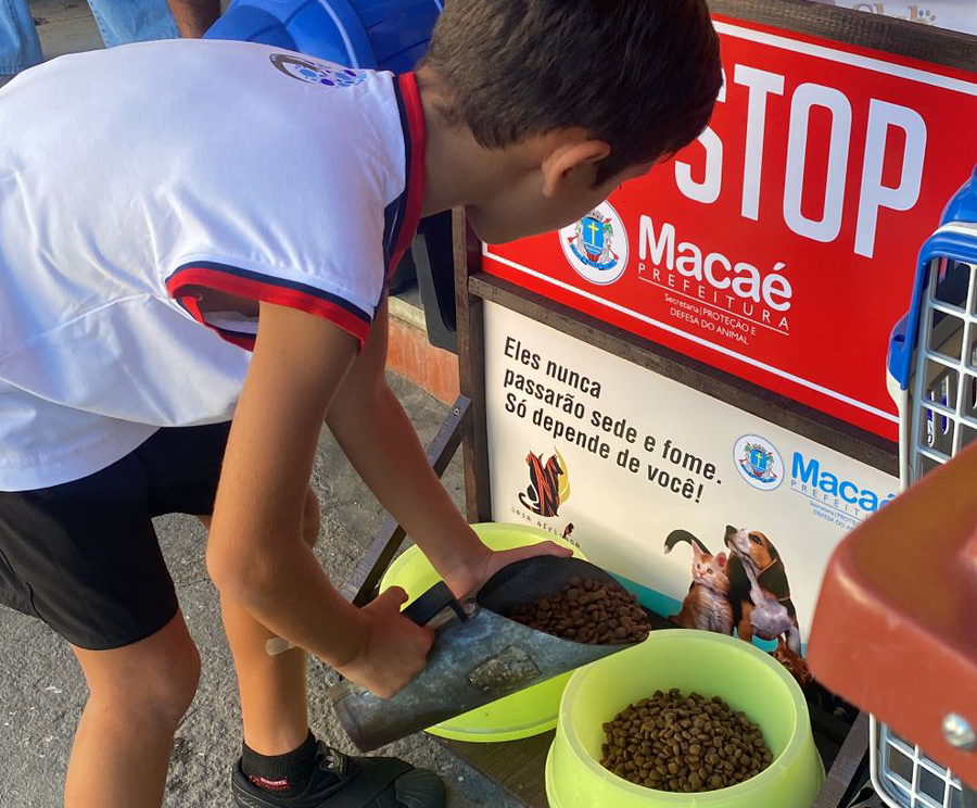 Macaé desenvolve projeto para garantir água e ração a cães de rua