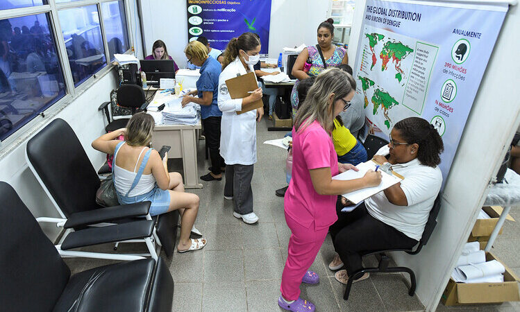 Panorama dengue: estado do RJ já registrou mais de 117 mil casos da doença 