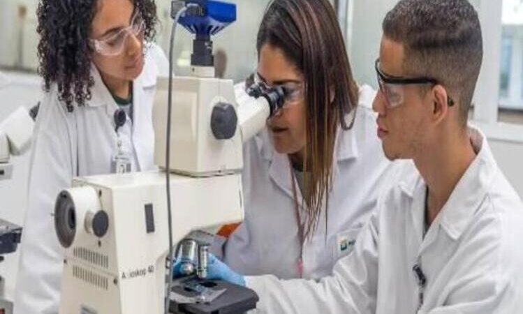 Petrobras abre mais de 1 mil vagas no programa Jovem Aprendiz