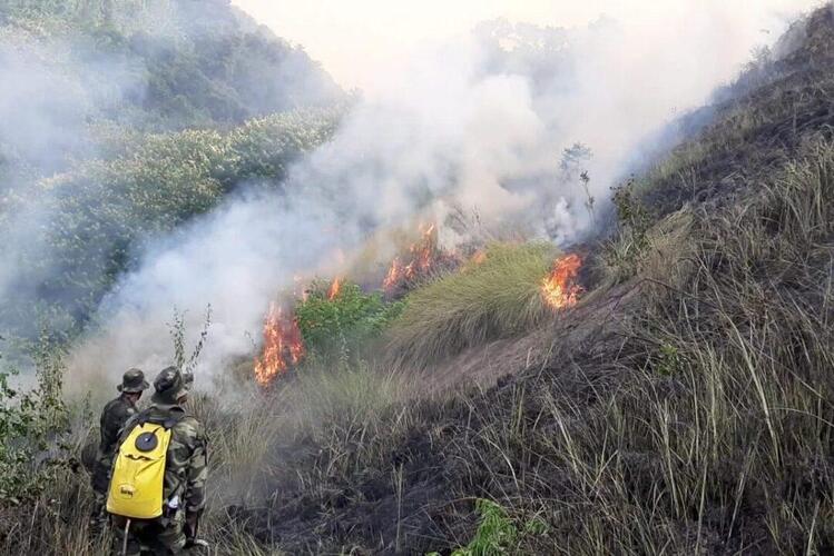 Incêndios em vegetação dobram em 2024 no estado do RJ e campanha do Comitê Guandu reforça fim das queimadas