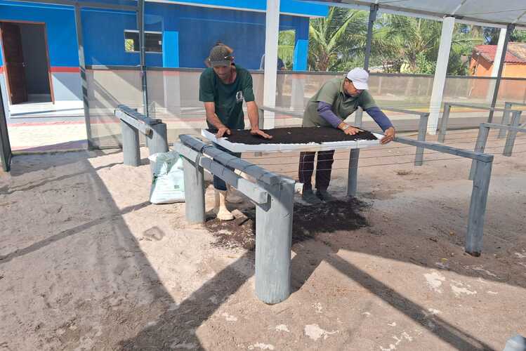 Agricultura de SJB reativa Programa da Estufa