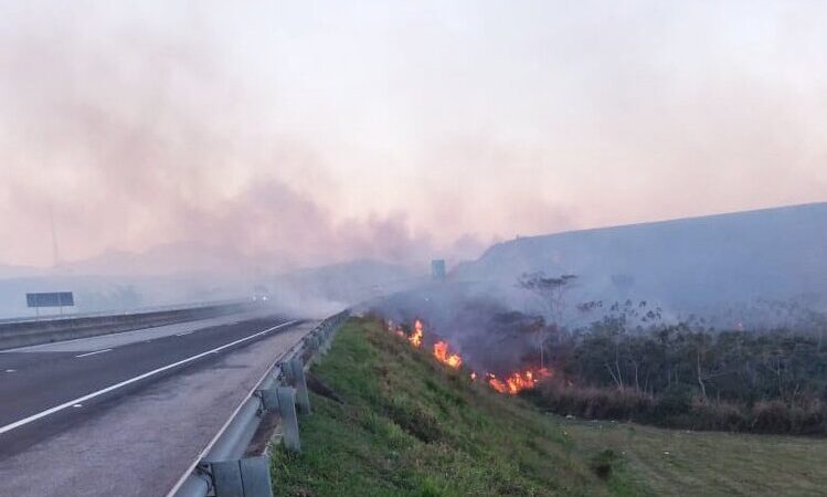 Arteris alerta sobre riscos de incêndio às margens da BR-101 que já registrou 63 focos