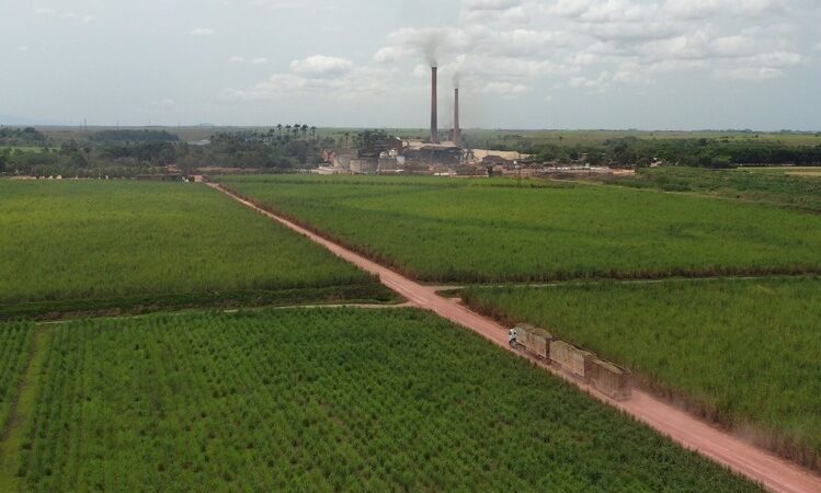 Coagro e Zeg Biogás firmam parceria para primeira planta de biometano no NF