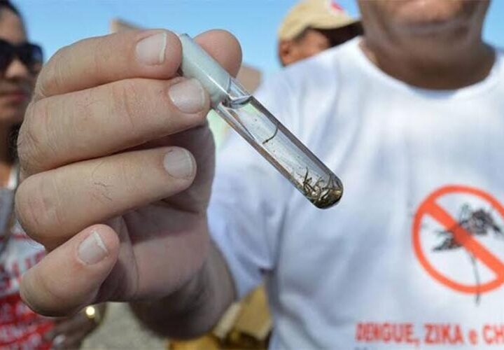 Brasil antecipa campanha contra dengue após 6,5 mi de casos em 2024