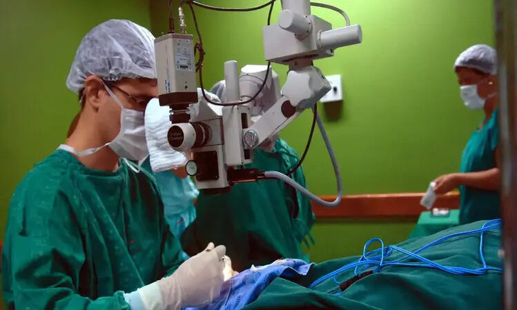 Estado do RJ: seis pacientes transplantados receberam órgãos infectados com HIV