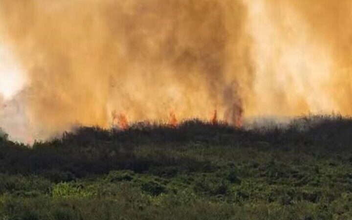 MP acompanha plano de atuação de combate a incêndios florestais em Carapebus e Quissamã