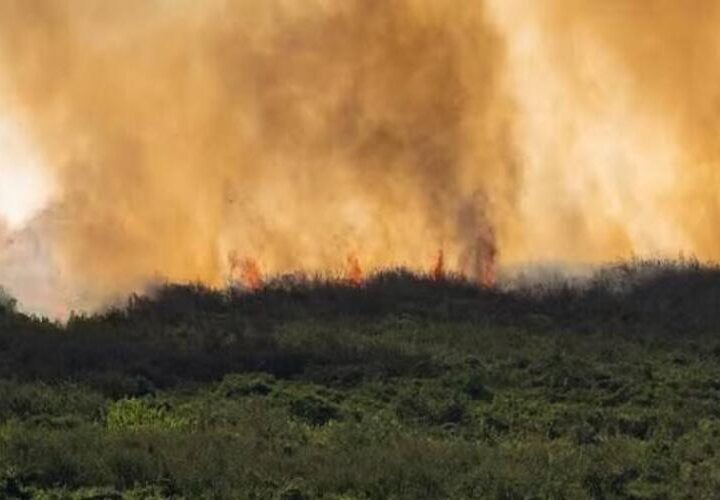 MP acompanha plano de atuação de combate a incêndios florestais em Carapebus e Quissamã