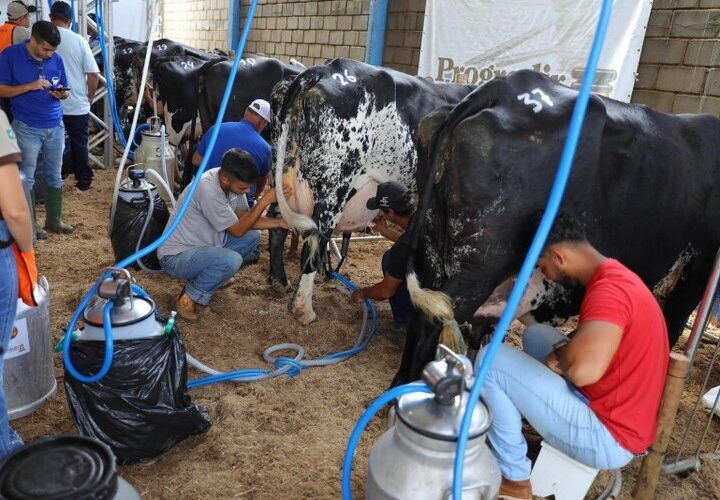 ExpoBarra: troca de experiências e genética de ponta marcam a pecuária