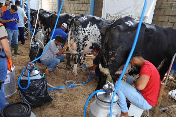 ExpoBarra: troca de experiências e genética de ponta marcam a pecuária