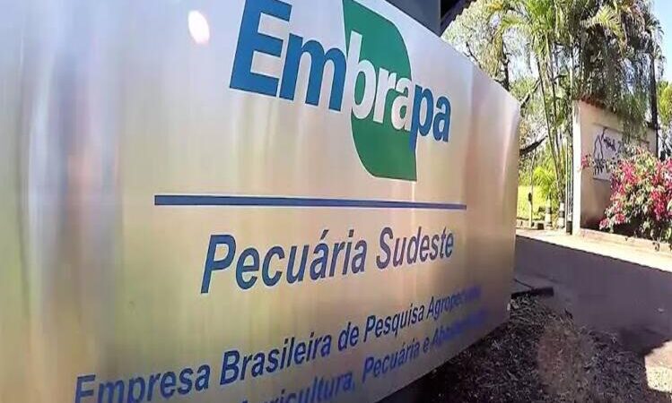 Embrapa publica edital de concurso com 1.027 vagas e salário de até R$12,8 mil