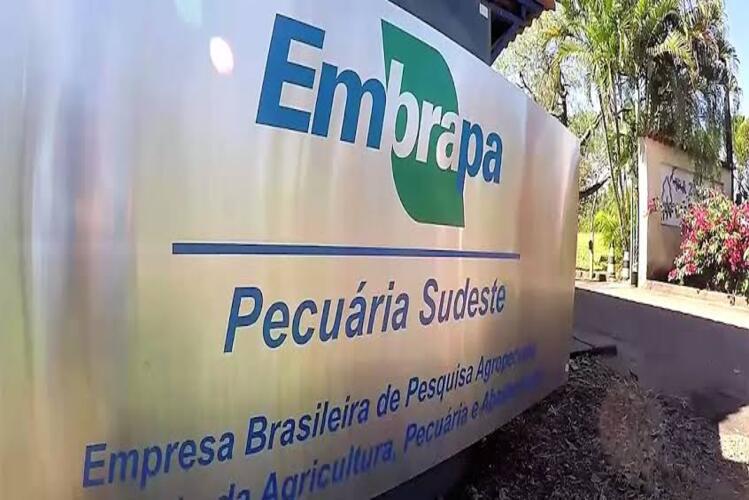 Embrapa publica edital de concurso com 1.027 vagas e salário de até R$12,8 mil