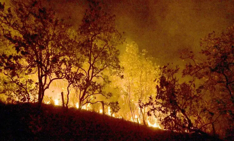 Bombeiros combatem mais de 500 incêndios no estado do RJ entre segunda e terça-feira