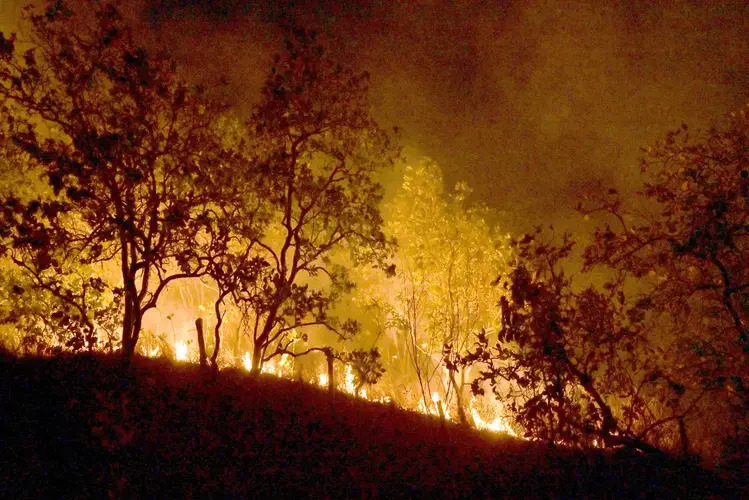 Bombeiros combatem mais de 500 incêndios no estado do RJ entre segunda e terça-feira