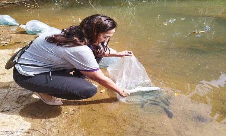 Colônia de Pescadores em São Fidélis fará soltura de alevinos de espécies ameaçadas