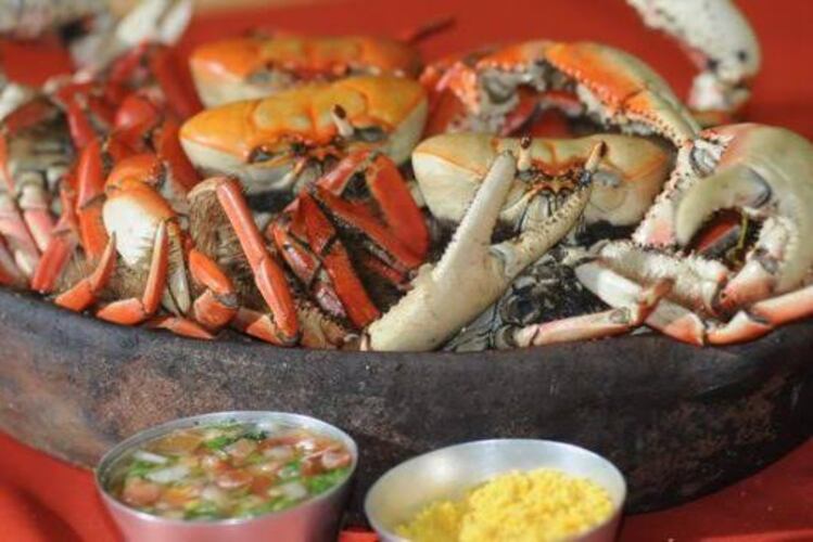 SJB: Festival do Caranguejo de Grussaí começa neste sábado