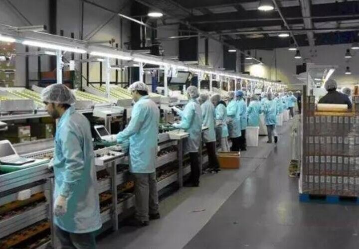 Norte Fluminense gera mais de 10 mil empregos no primeiro semestre