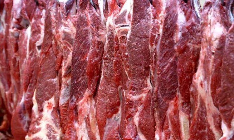 Brasil tem recorde na exportação de carne, mesmo após “tarifaço” de Trump