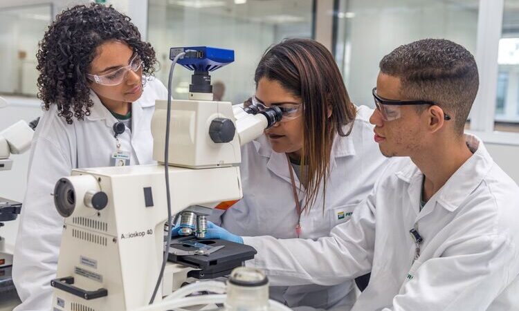 Petrobras abre mais de 700 oportunidades para Jovem Aprendiz com vagas em Macaé