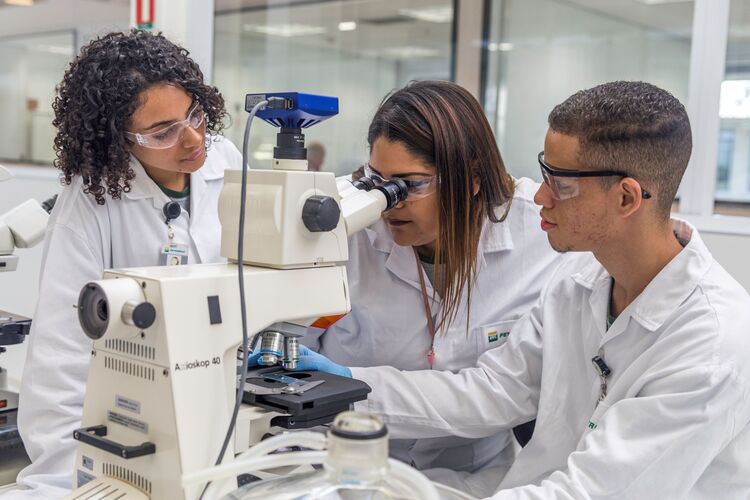 Petrobras abre mais de 700 oportunidades para Jovem Aprendiz com vagas em Macaé