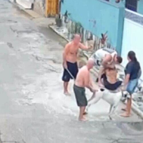 Mais um ataque de cachorro em Campos, dessa vez a vítima foi uma mulher
