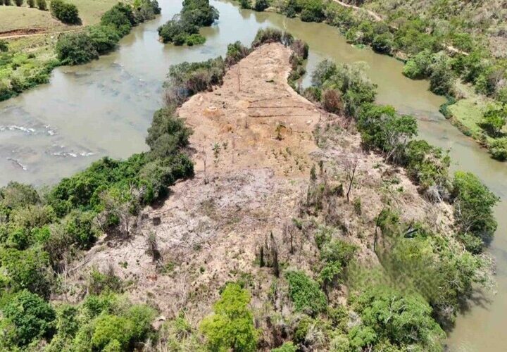 Polícia investiga desmatamento em área de preservação permanente em Pádua