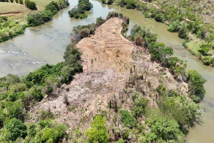 Polícia investiga desmatamento em área de preservação permanente em Pádua
