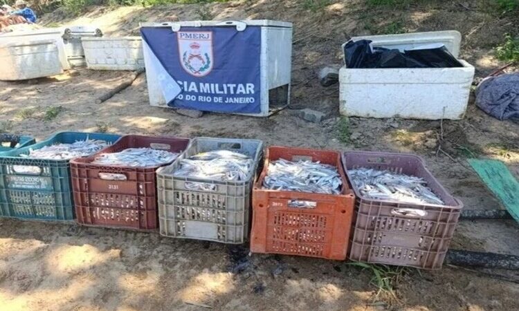 Quatro pescadores detidos por pesca proibida em São Fidélis