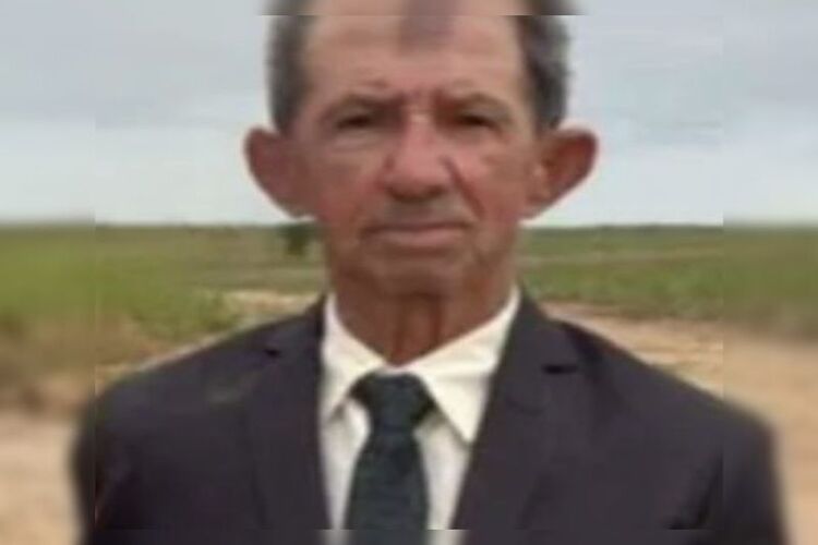 Idoso morre em SFI após ser atacado por um enxame de abelhas