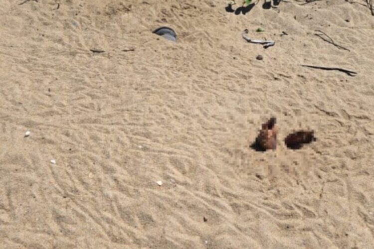 Corpo de um homem é encontrado enterrado em praia de Campos