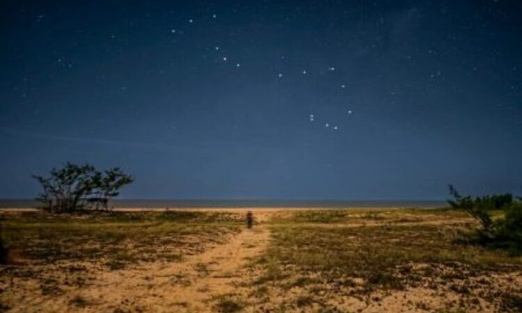 Céu estrelado do Parque Estadual da Lagoa do Açu impressiona cientistas internacionais