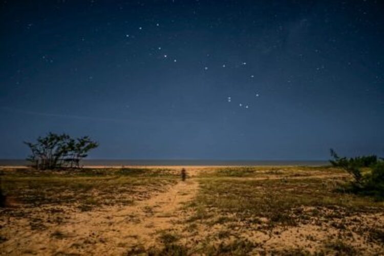 Céu estrelado do Parque Estadual da Lagoa do Açu impressiona cientistas internacionais