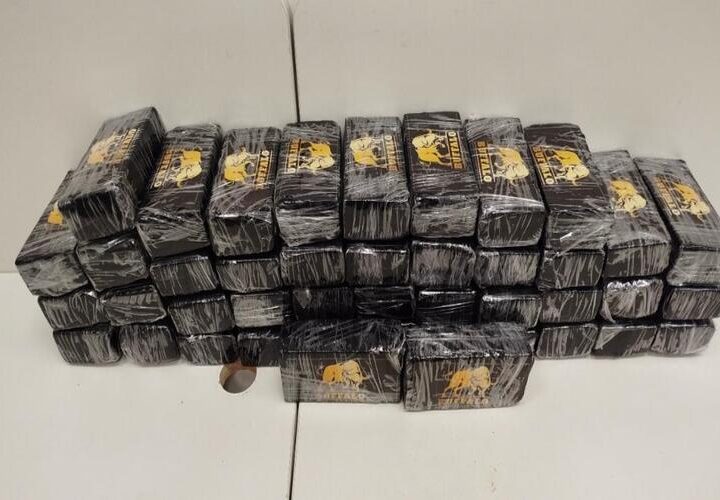 PF e PRF prendem na Via Dutra motorista de Campos com 50kg de cocaína no caminhão