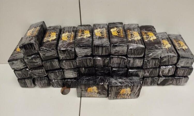 PF e PRF prendem na Via Dutra motorista de Campos com 50kg de cocaína no caminhão