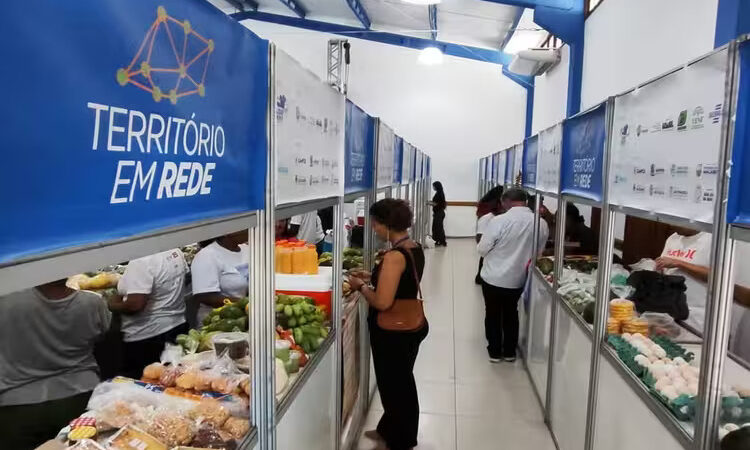 Nove cidades do NF voltam a integrar política federal de desenvolvimento rural