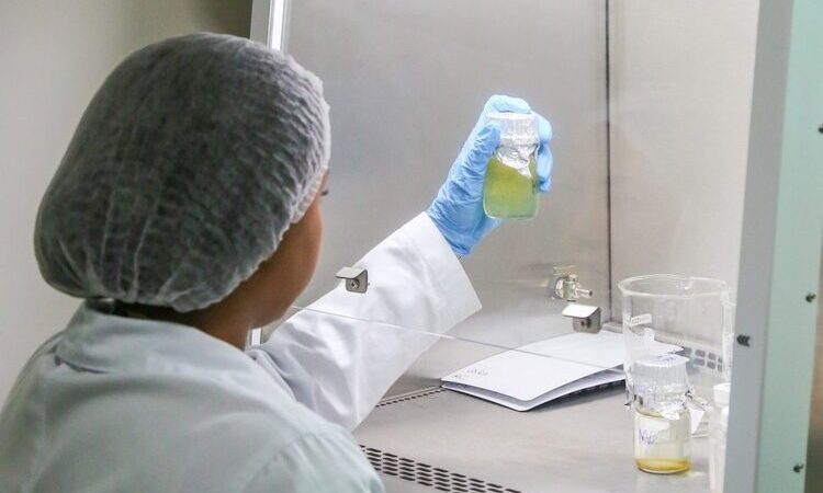 Inea inaugura novo laboratório de balneabilidade para praias do NF