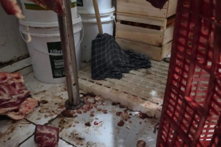 Vigilância Sanitária apreende quase 900 quilos de alimentos impróprios em Campos