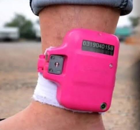 Alerj aprova tornozeleira rosa para agressores de mulheres