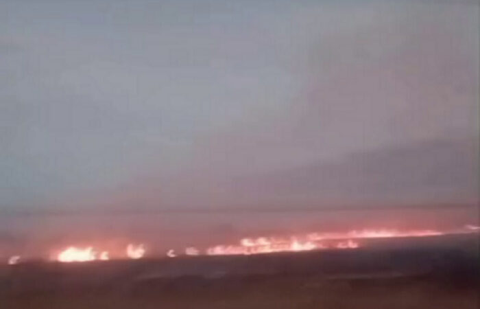 Incêndio atinge vegetação às margens da BR-356 entre Caetá e Barcelos, em SJB