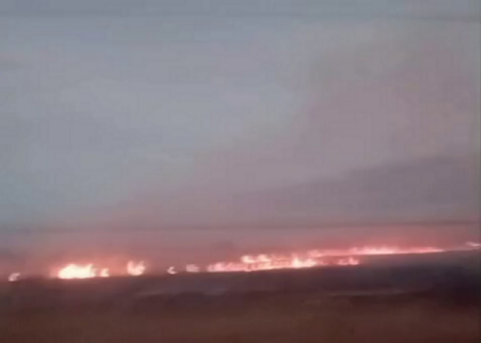 Incêndio atinge vegetação às margens da BR-356 entre Caetá e Barcelos, em SJB