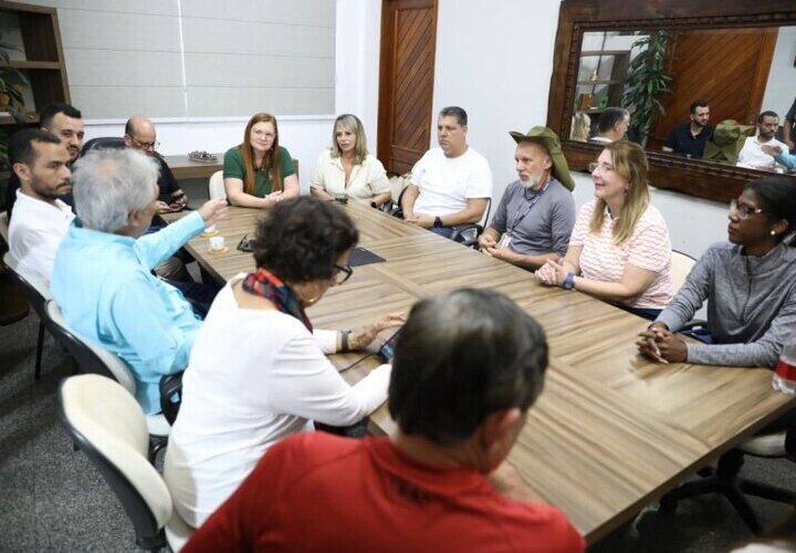 Comissão de Análise e Prevenção de Acidentes do CREA visita SJB