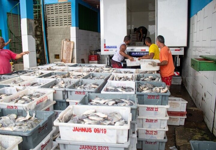 Transporte gratuito de produção beneficia pescadores em SJB